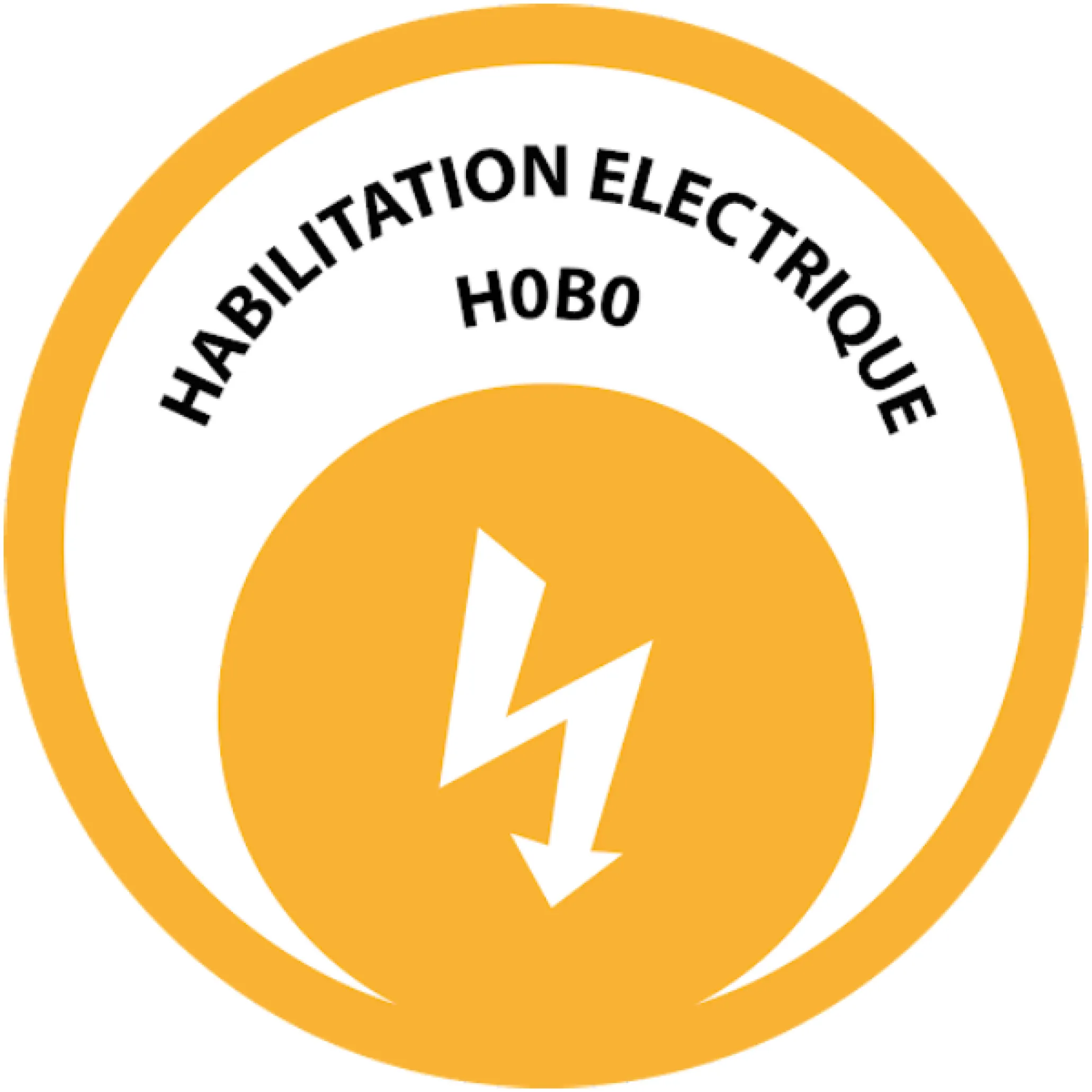 Picto Habilitation electrique